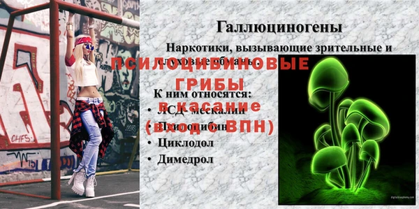 гашик Переславль-Залесский
