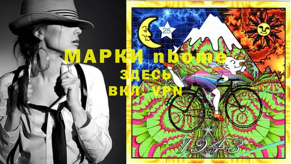 мяу мяу мука Баксан