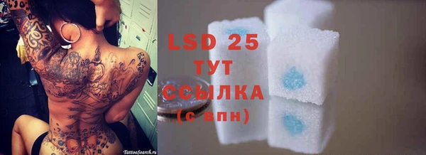 мяу мяу мука Баксан