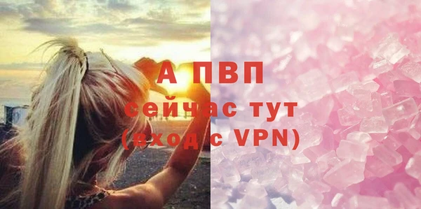 прущие грибы Пересвет